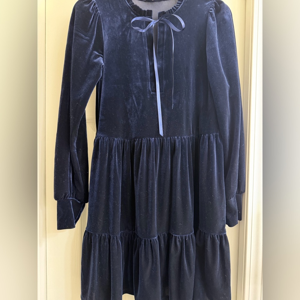 Elegant Navy Blue Velvet Dress